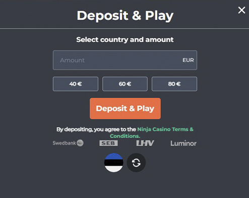 Ninja Casino makseviisid